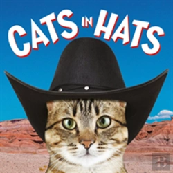 Bertrand.pt - Cats In Hats
