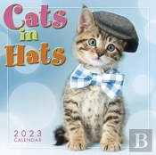 Cats In Hats