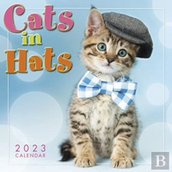 Bertrand.pt - Cats In Hats