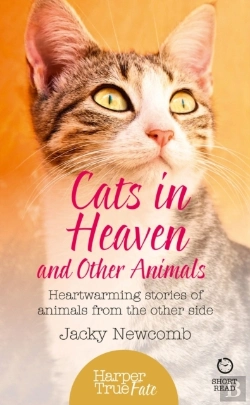 Bertrand.pt - Cats In Heaven