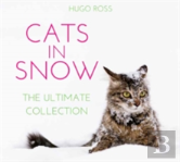 Cats In Snow