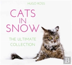 Bertrand.pt - Cats In Snow
