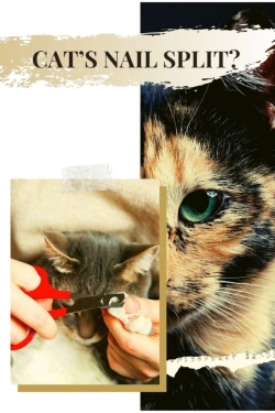 Bertrand.pt - Cat'S Nail Split? (Maybe While You Were TrimmãÂ€ Ng?) Here'S What TãÅ¾ Do