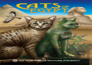 Cats Of Egypt