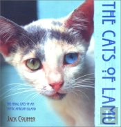 Cats Of Lamu