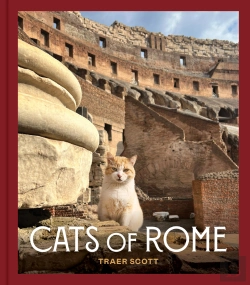 Bertrand.pt - Cats Of Rome