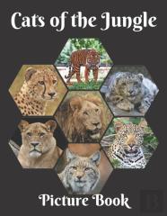 Cats Of The Jungle Picture Book