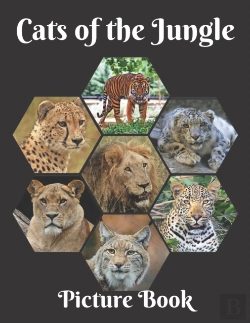Bertrand.pt - Cats Of The Jungle Picture Book