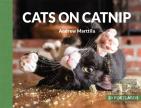 Cats On Catnip: 20 Postcards