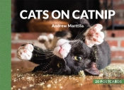 Cats On Catnip: 20 Postcards