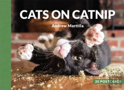 Bertrand.pt - Cats On Catnip: 20 Postcards