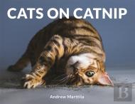 Cats On Catnip