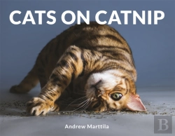 Bertrand.pt - Cats On Catnip