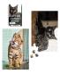Cats On Catnip Mini Puzzles