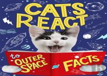 Cats React To Outer Space Facts