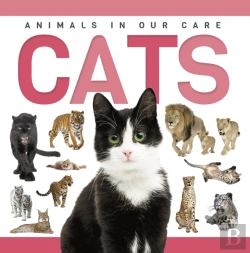 Bertrand.pt - Cats
