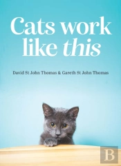Cats Work Like This