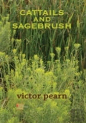 Cattails And Sagebrush
