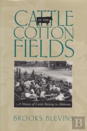 Cattle In The Cotton Fields