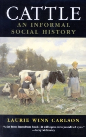 Cattle