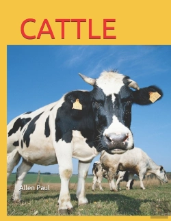Bertrand.pt - Cattle