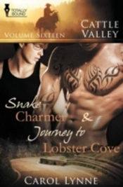 Cattle Valley: Vol 16