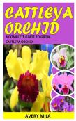 Cattleya Orchid
