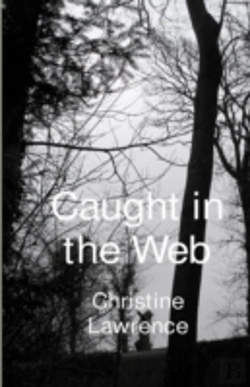 Bertrand.pt - Caught In The Web