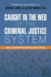 Caught In The Web Of The Criminal Justice System