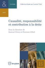 Causalité, Responsabilité Et Contribution À La Dette