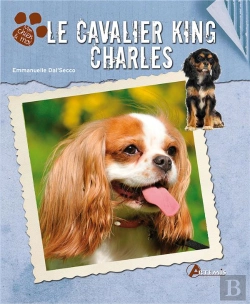 Bertrand.pt - Cavalier King Charles