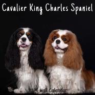Cavalier King Charles Spaniel 2021 Wall Calendar