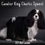 Cavalier King Charles Spaniel 2021 Wall Calendar