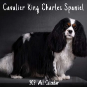 Cavalier King Charles Spaniel 2021 Wall Calendar