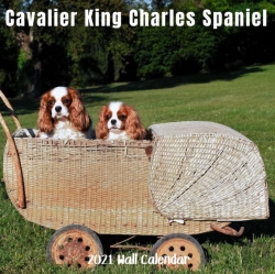 Bertrand.pt - Cavalier King Charles Spaniel 2021 Wall Calendar