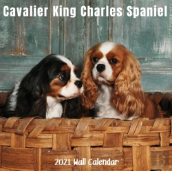Bertrand.pt - Cavalier King Charles Spaniel 2021 Wall Calendar