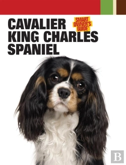 Bertrand.pt - Cavalier King Charles Spaniel