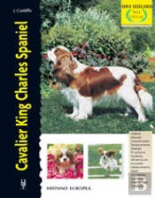 Cavalier King Charles Spaniel