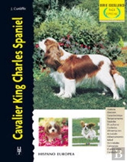 Bertrand.pt - Cavalier King Charles Spaniel