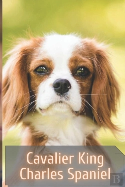 Bertrand.pt - Cavalier King Charles Spaniel
