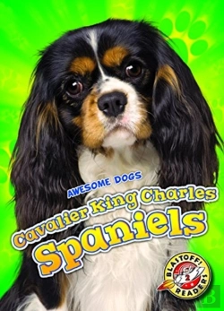 Bertrand.pt - Cavalier King Charles Spaniels