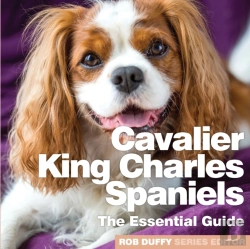 Bertrand.pt - Cavalier King Charles Spaniels