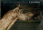 Cavalos