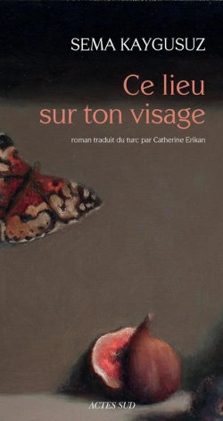 Bertrand.pt - Ce Lieu Sur Ton Visage
