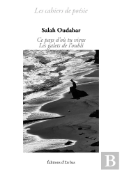 Ce Pays D'Où Tu Viens ; Les Galets De L'Oubli