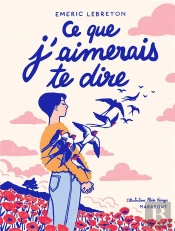 Ce Que J'Aimerais Te Dire