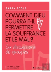 Ce Que Je Ccrois, Ça Se Discute T.2 ; Comment Dieu Pourrait-Il Permettre La Souffrance Et Le Mal ?