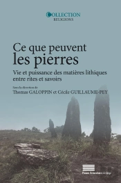 Ce Que Peuvent Les Pierresvie Et Puissance Des Matières Lithiques Entre Rites Et Savoirs : Vie Et Puissance Des Matières Lithiques Entre Rites Et Savoirs