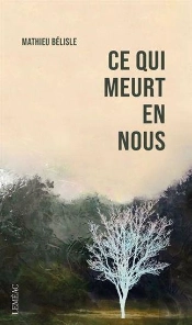 Ce Qui Meurt En Nous