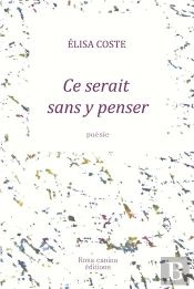 Ce Serait Sans Y Penser